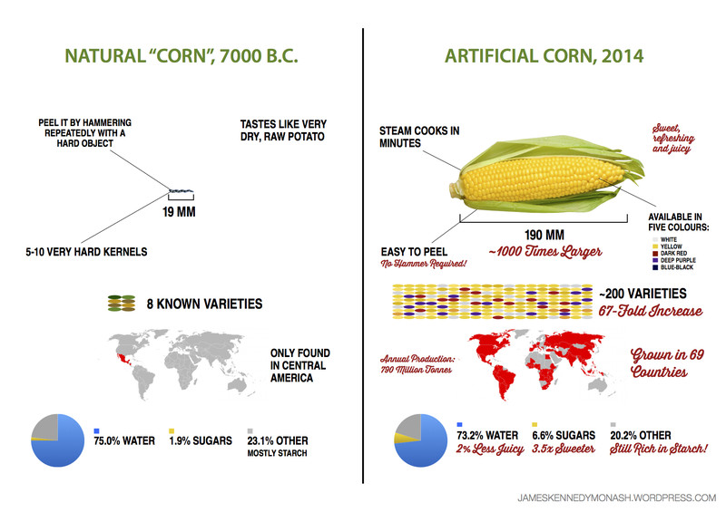 artificial-natural-corn1.0.jpg