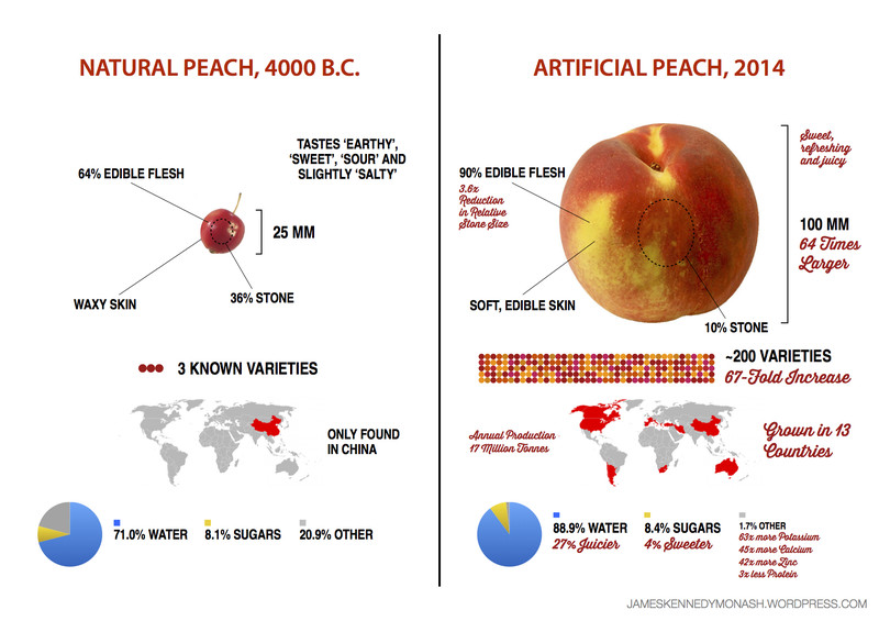 artificial-natural-peach2.0.jpg