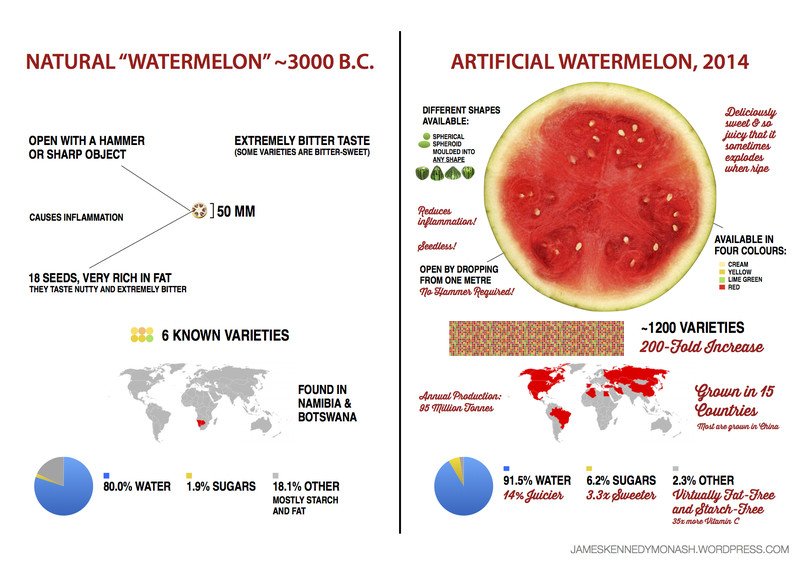 artificial-natural-watermelon1.0.jpg