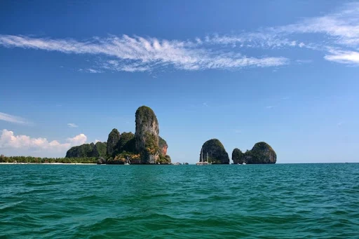 Asia_2010%20201-1.webp