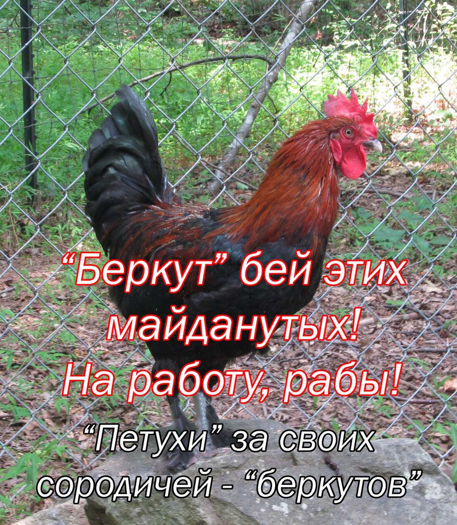 Atkw_LZCsho.jpg