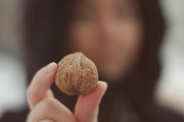 attachment.gif
