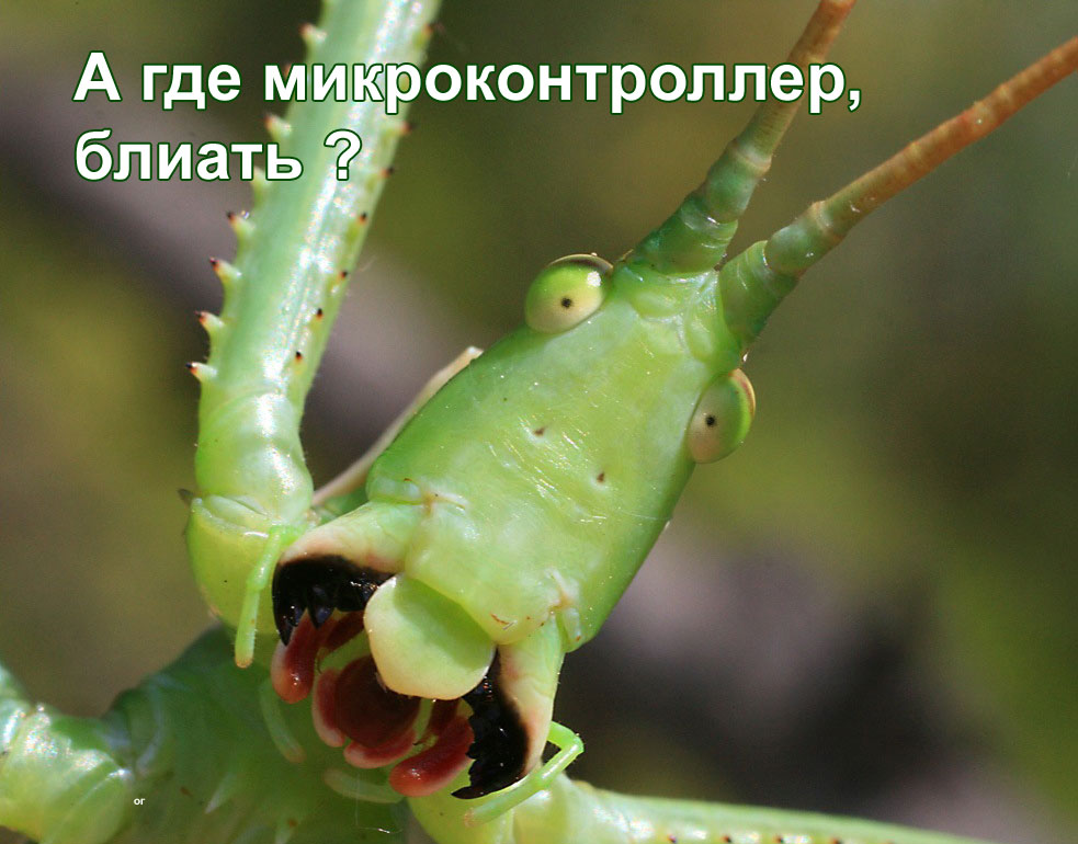 attachment.jpg