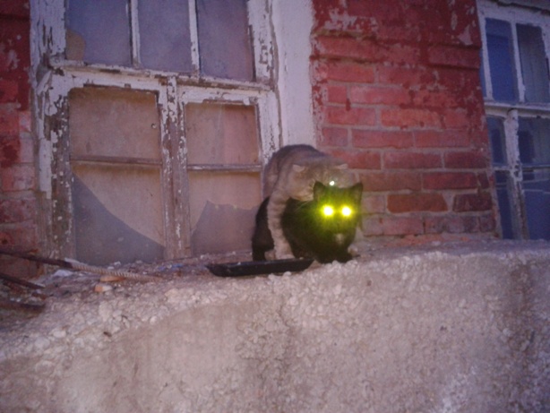 attachment.jpg