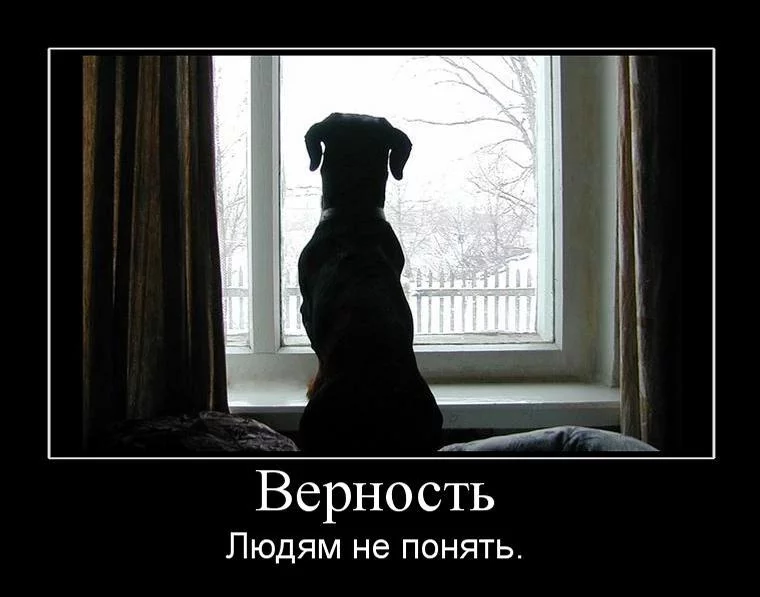 attachment.jpg