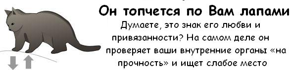 attachment.jpg