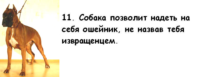 attachment.jpg