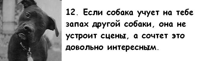 attachment.jpg