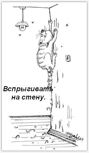 attachment.jpg