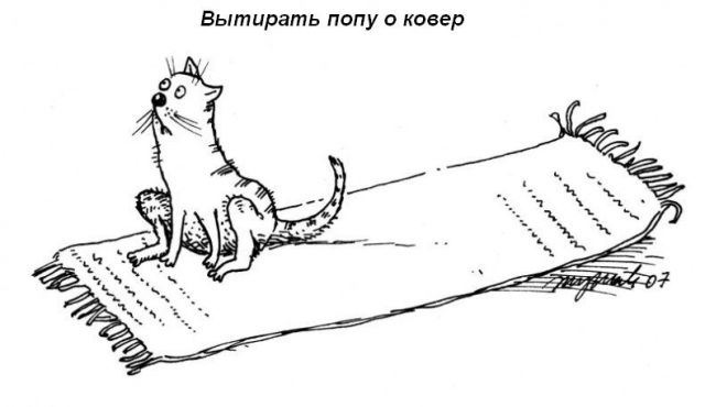 attachment.jpg