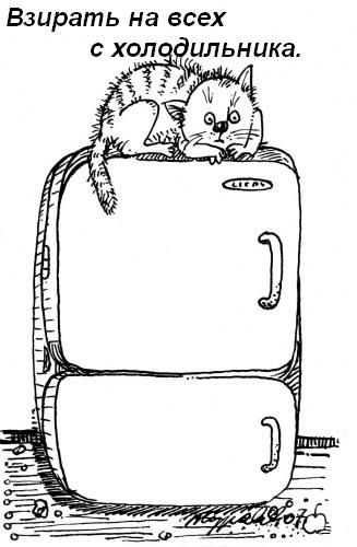 attachment.jpg