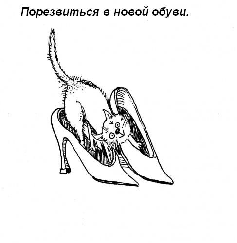 attachment.jpg