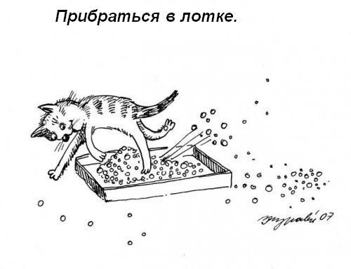attachment.jpg