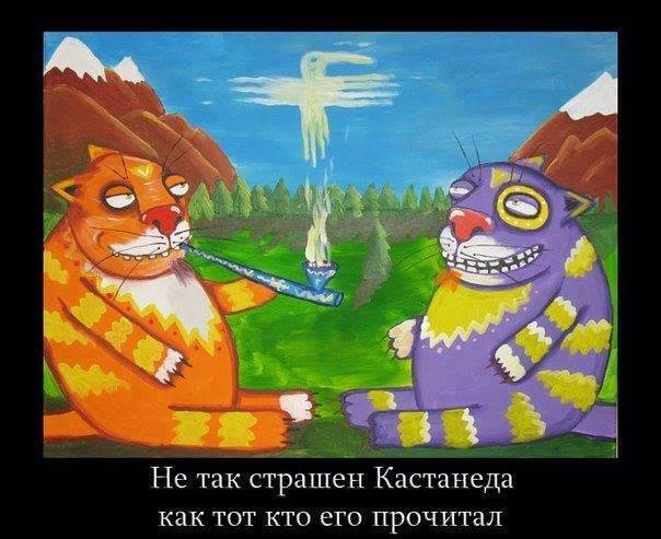 attachment.jpg