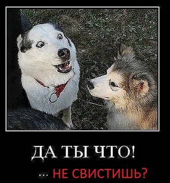 attachment.jpg