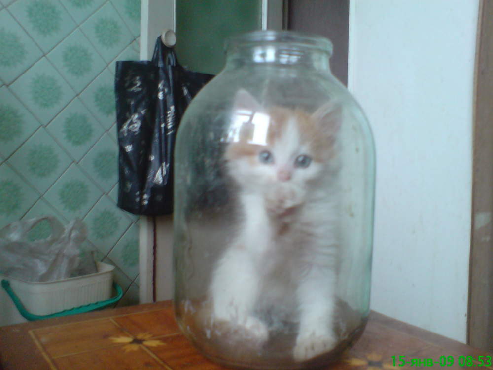 attachment.jpg