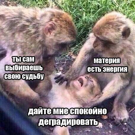 attachment.jpg