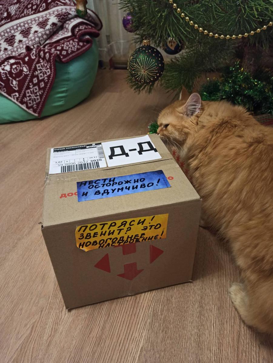 attachment.jpg