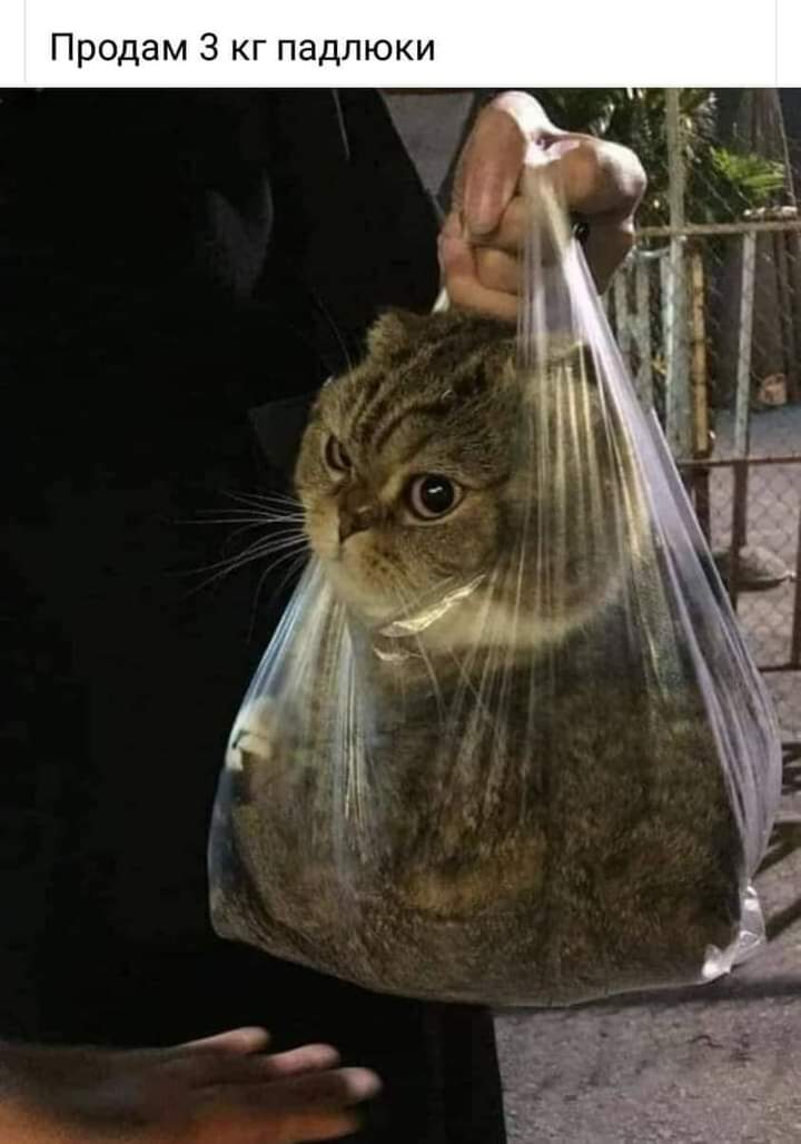 attachment.jpg