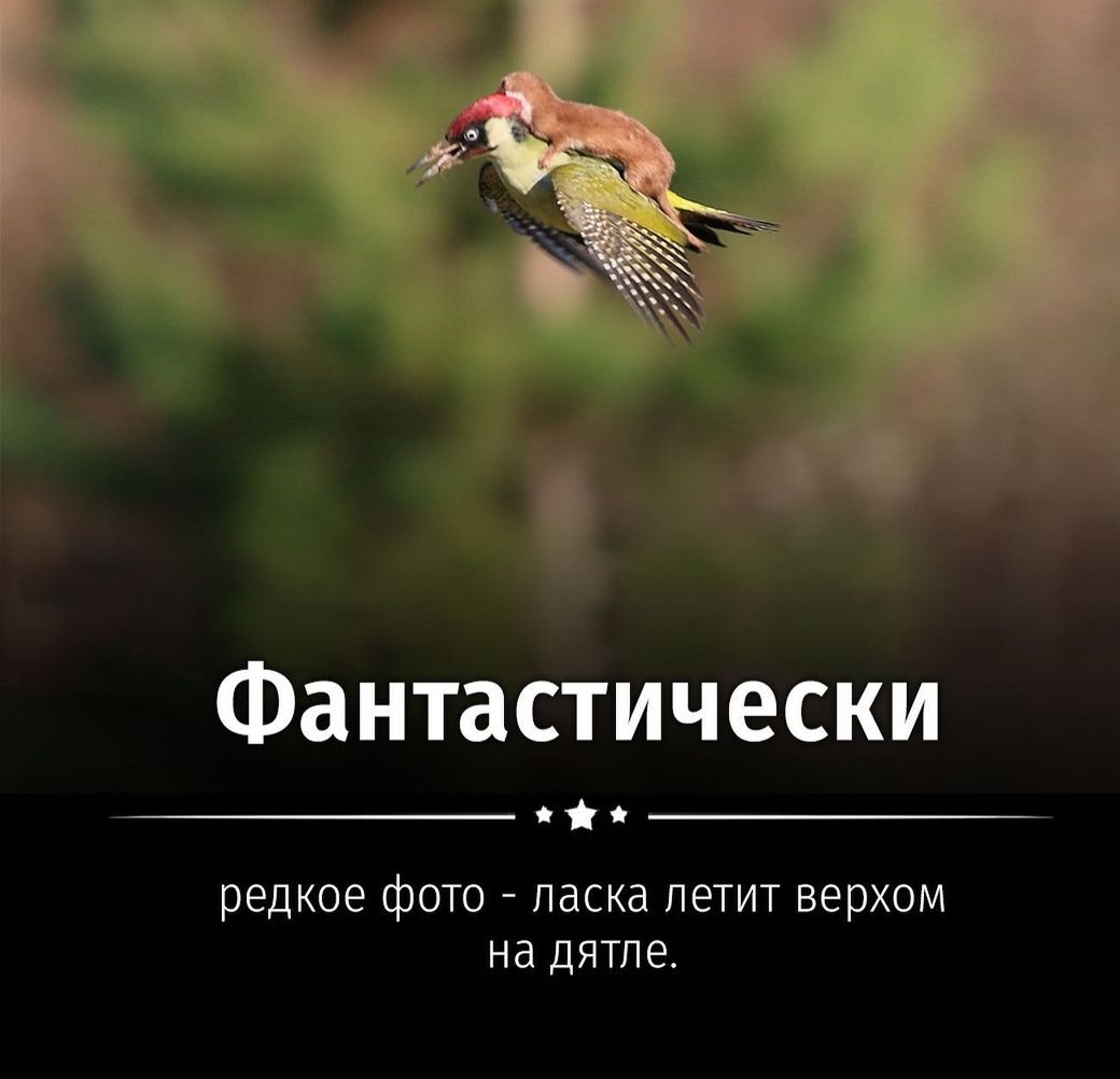 attachment.jpg