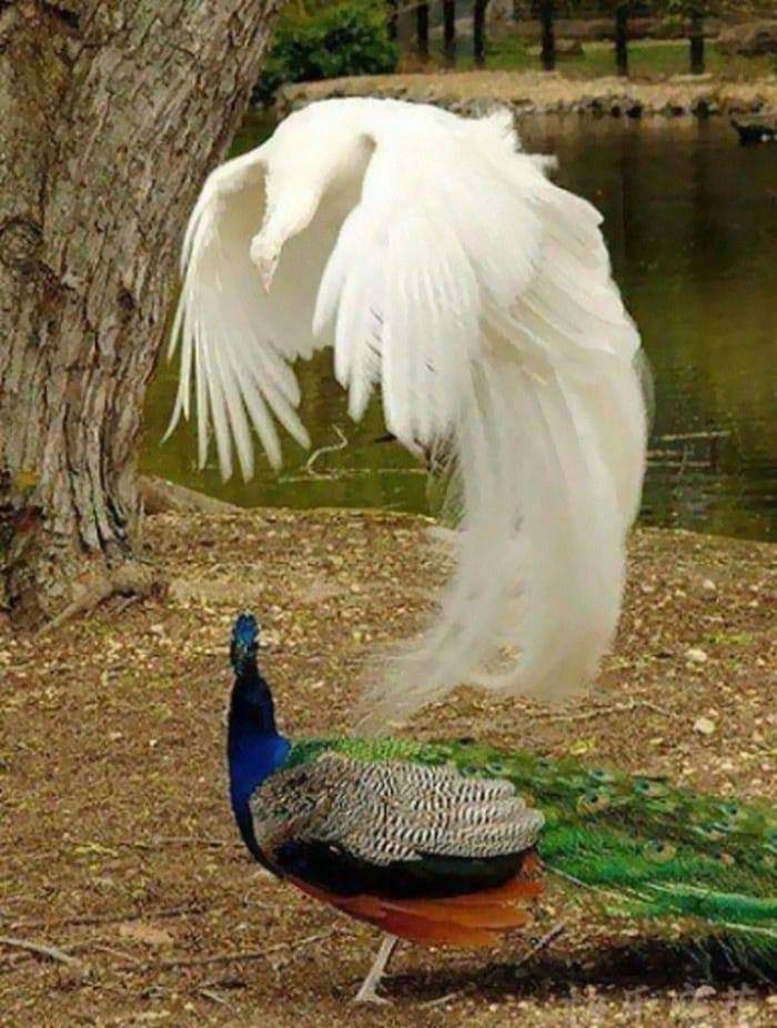 attachment.jpg