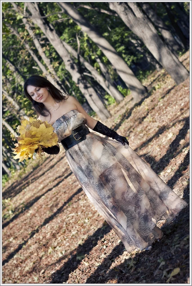 attachment.webp
