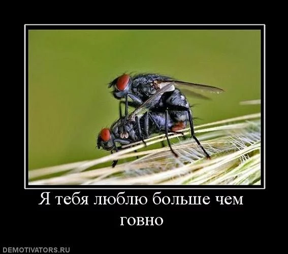 attachment.webp