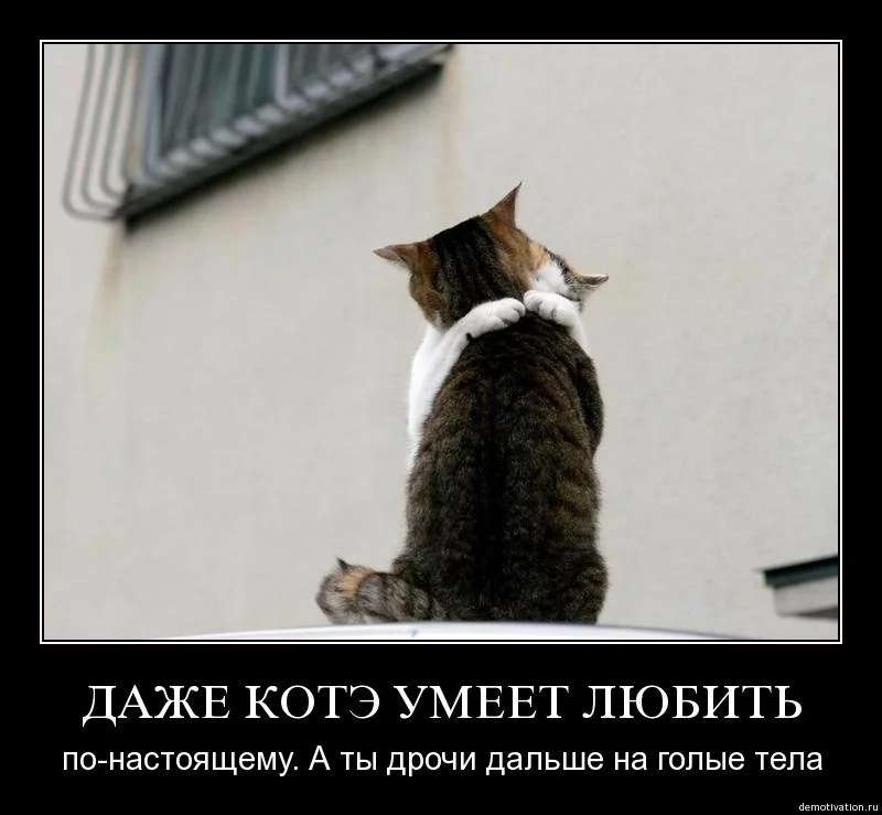 attachment.webp