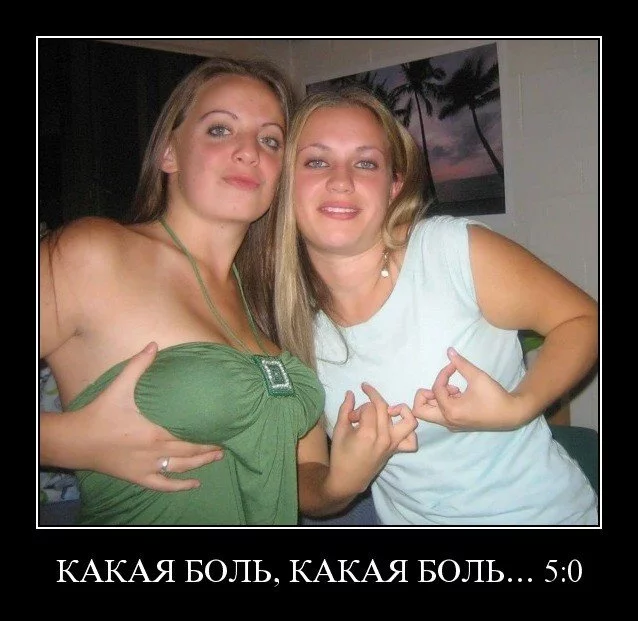 attachment.webp
