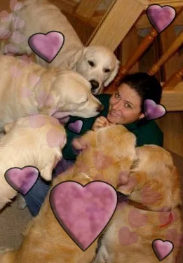 attachment.webp
