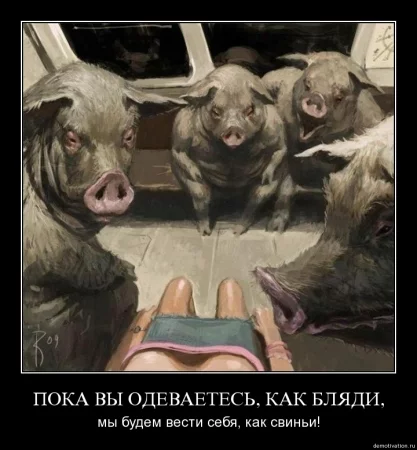 attachment.webp