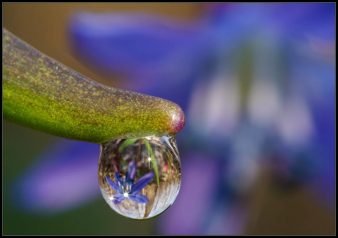 attachment.webp