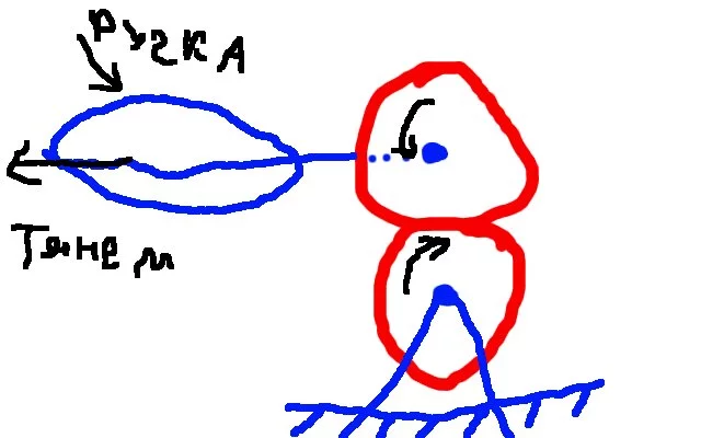 attachment.webp