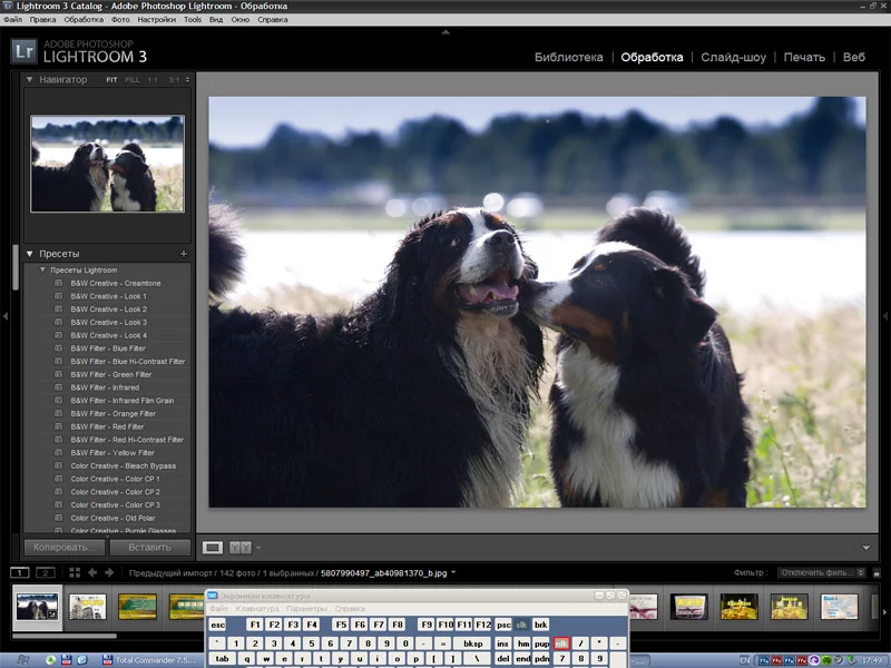 attachment.webp
