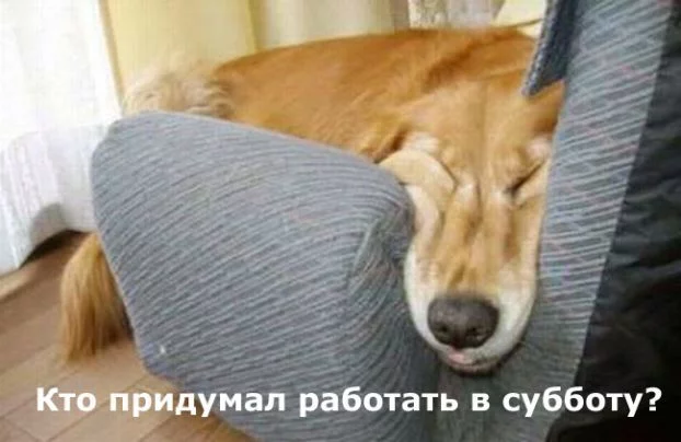 attachment.webp