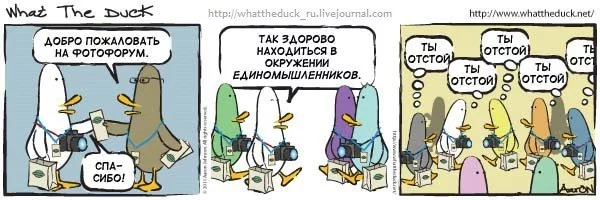 attachment.webp