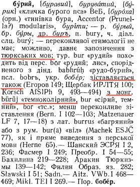 attachment.webp