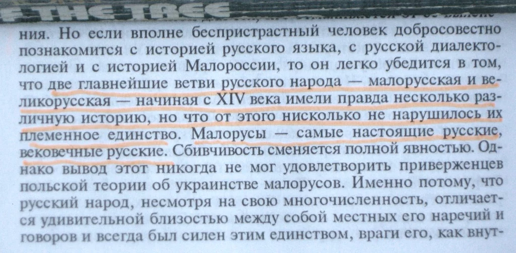 attachment.webp