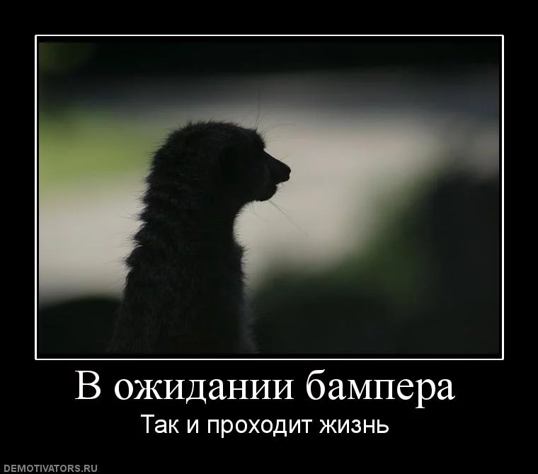 attachment.webp