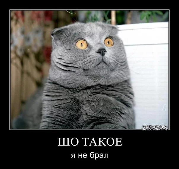 attachment.webp
