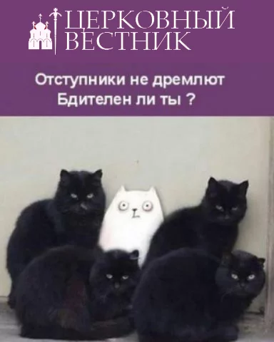 attachment.webp