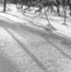 attachment.webp