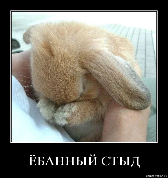 attachment.webp