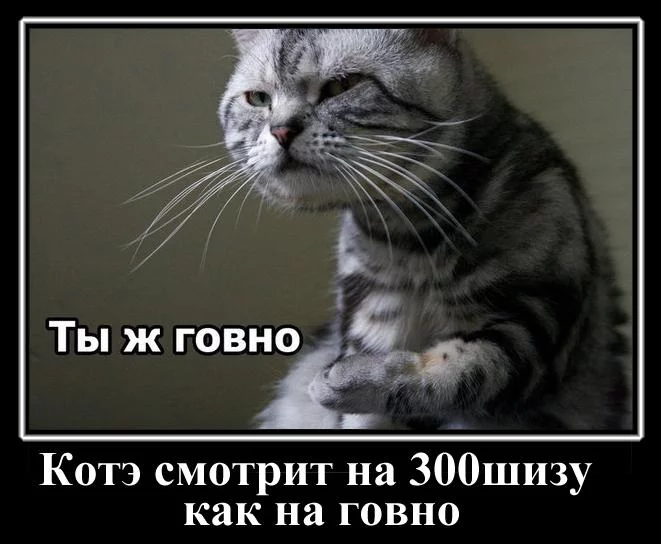 attachment.webp