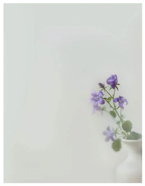 attachment.webp