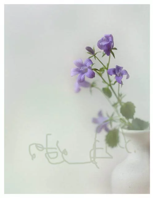 attachment.webp