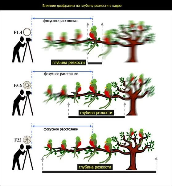 attachment.webp