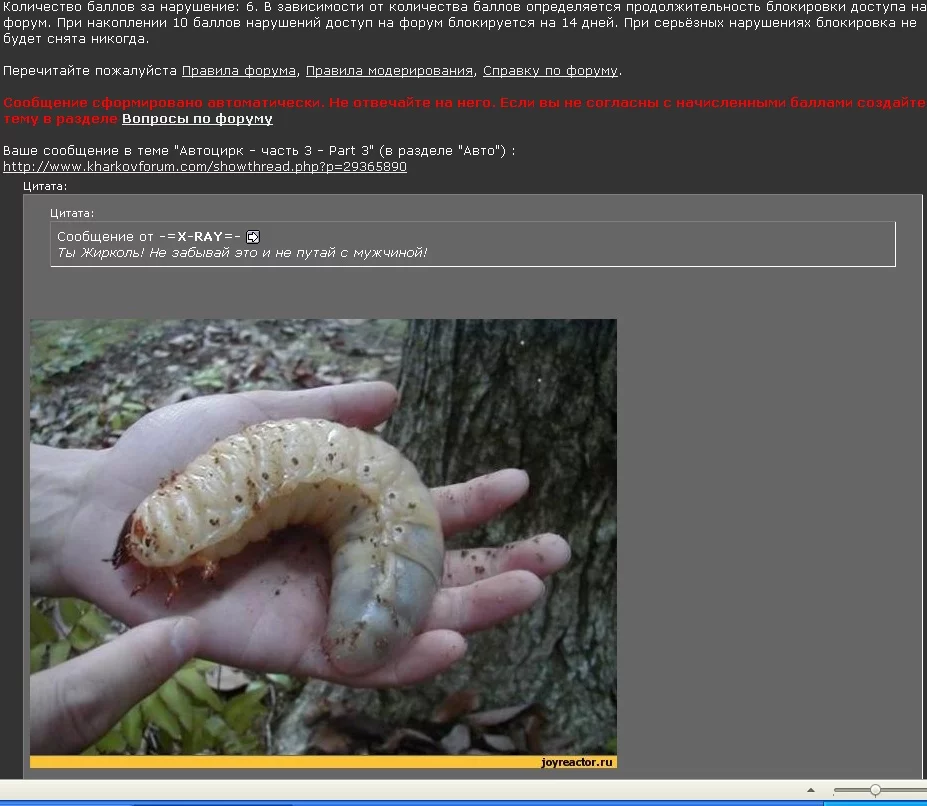 attachment.webp