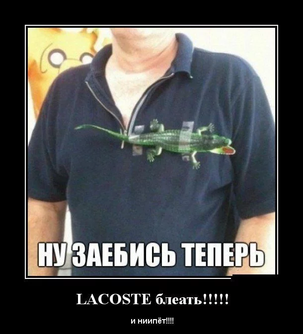 attachment.webp