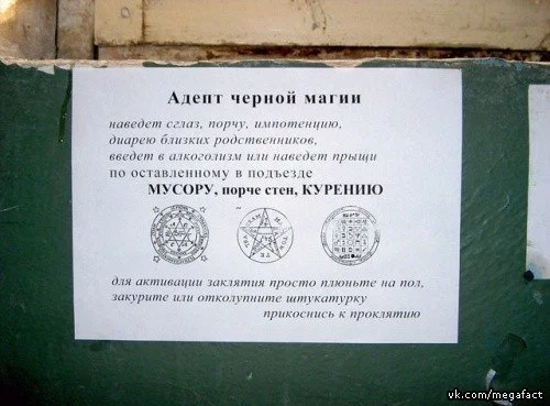 attachment.webp